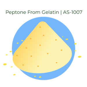 Peptone From Gelatin