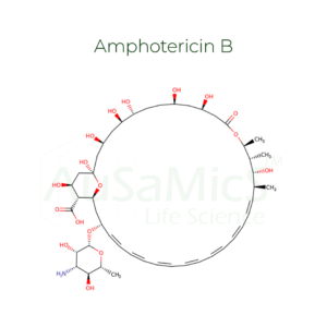 AmphotericinB-ausamics