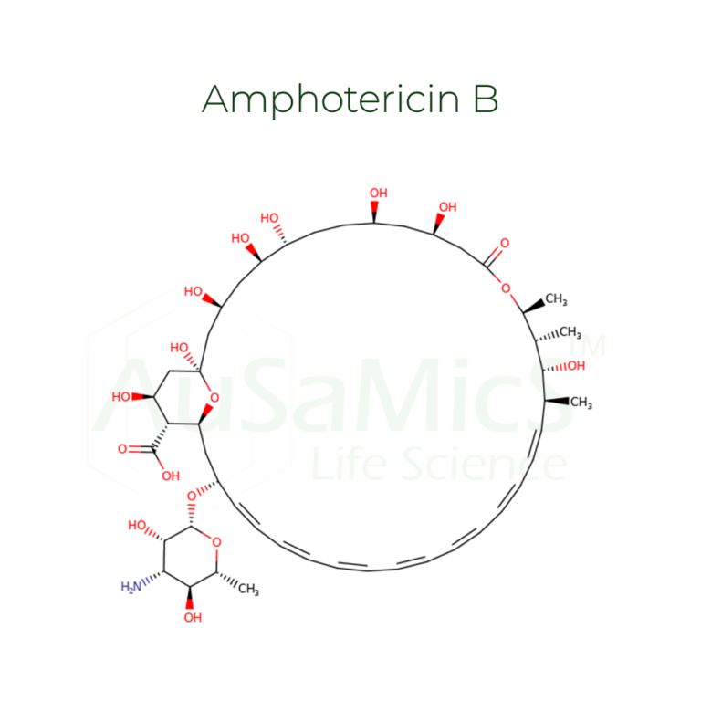 AmphotericinB-ausamics