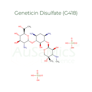 Geneticin Disulfate (G418)_ausamics