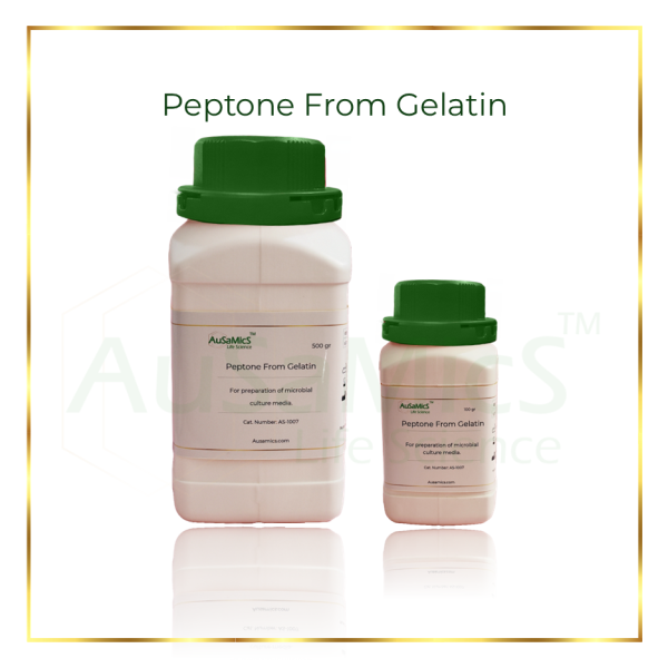Peptone From Gelatin-AuSaMiCs
