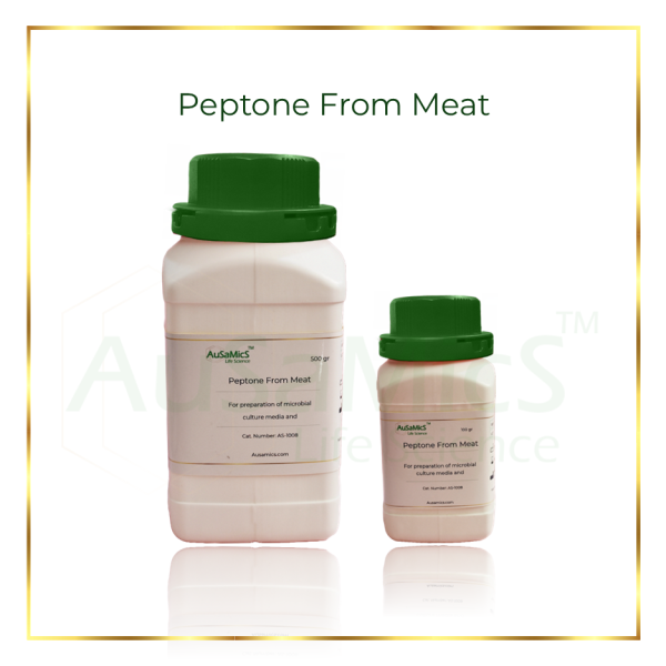 Peptone From Meat-AuSaMiCs