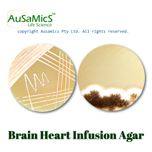 BHI_agar_Ausamics