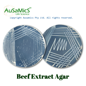 Beef_Extract_Agar_Ausamics