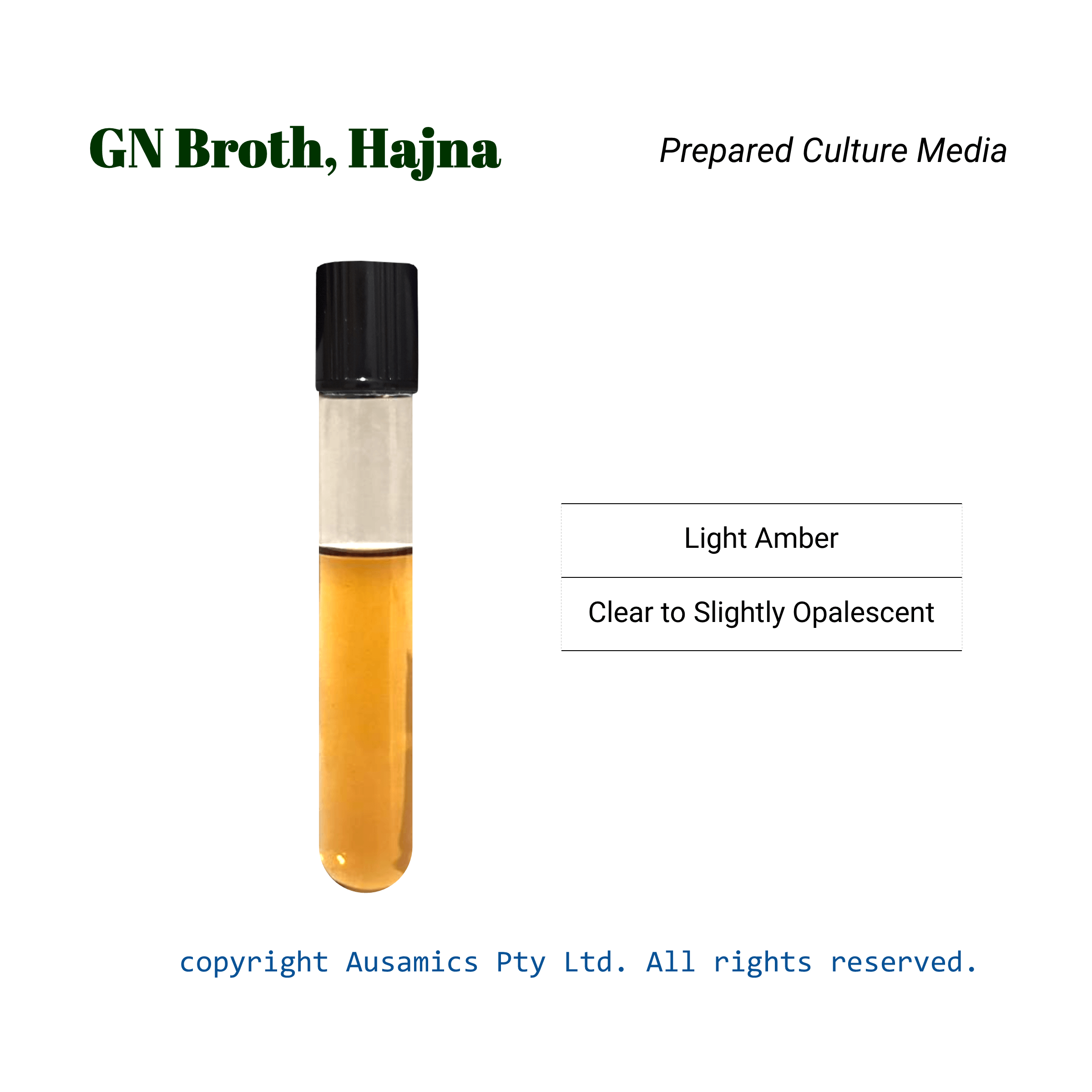 GN_Broth_Prepared_Culture_Media_Ausamics