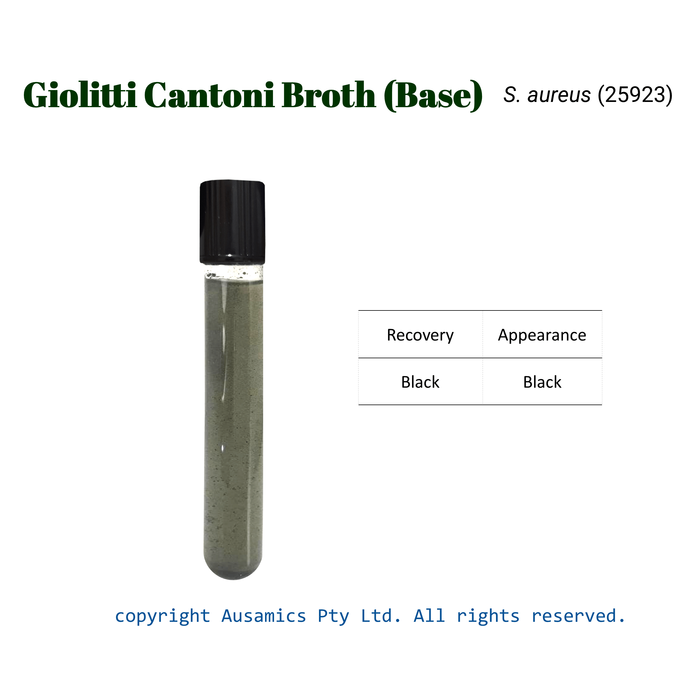 Giolitti_Cantoni_Broth_Saureus(25923)_Ausamics