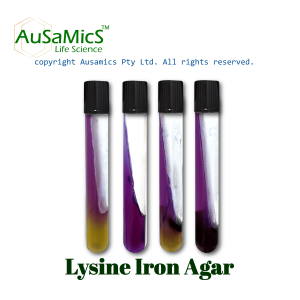 Lysine_Iron_Agar_Ausamics