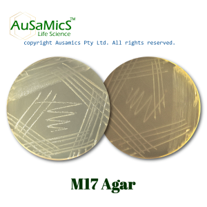 M17_Agar_Ausamics