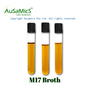 M17_Broth_Ausamics