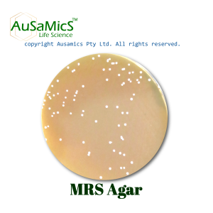 MRS_Agar_Ausamics