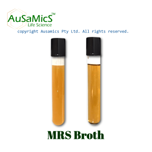 MRS_Broth_Ausamics