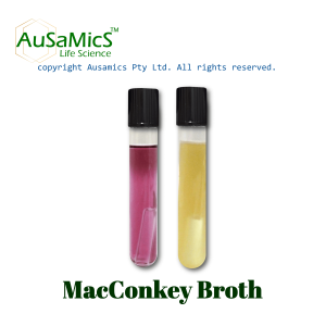 MacConkey_Broth_Ausamics