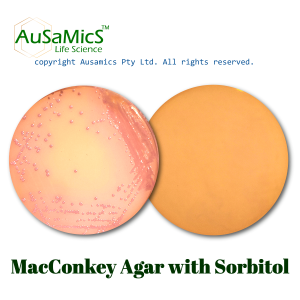 MacConkey_Sorbitol_Agar_Ausamics
