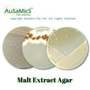 Malt_Extract_Agar_Ausamics