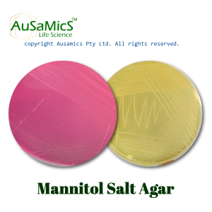 Mannitol_Salt_Agar_Ausamics