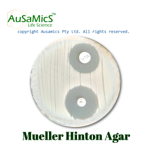 Mueller_Hinton_Agar_Ausamics
