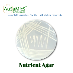 Nutrient_Agar_Ausamics