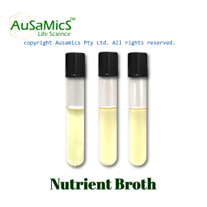 Nutrient_Broth_Ausamics
