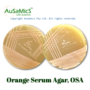 Orange_Serum_Agar_Ausamics