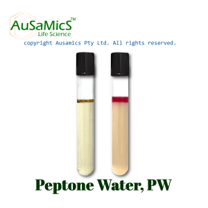 Peptone_Water_Ausamics