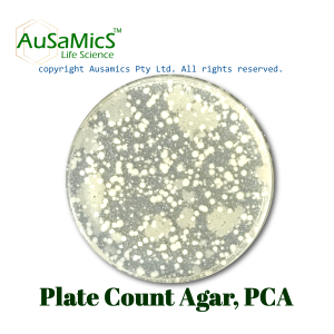 Plate_Count_Agar_Ausamics