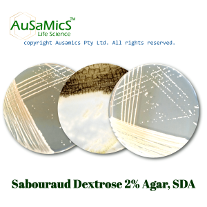 SDA_ANiger(16404)_Ausamics