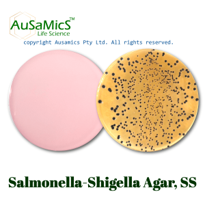SS_Agar1_Ausamics