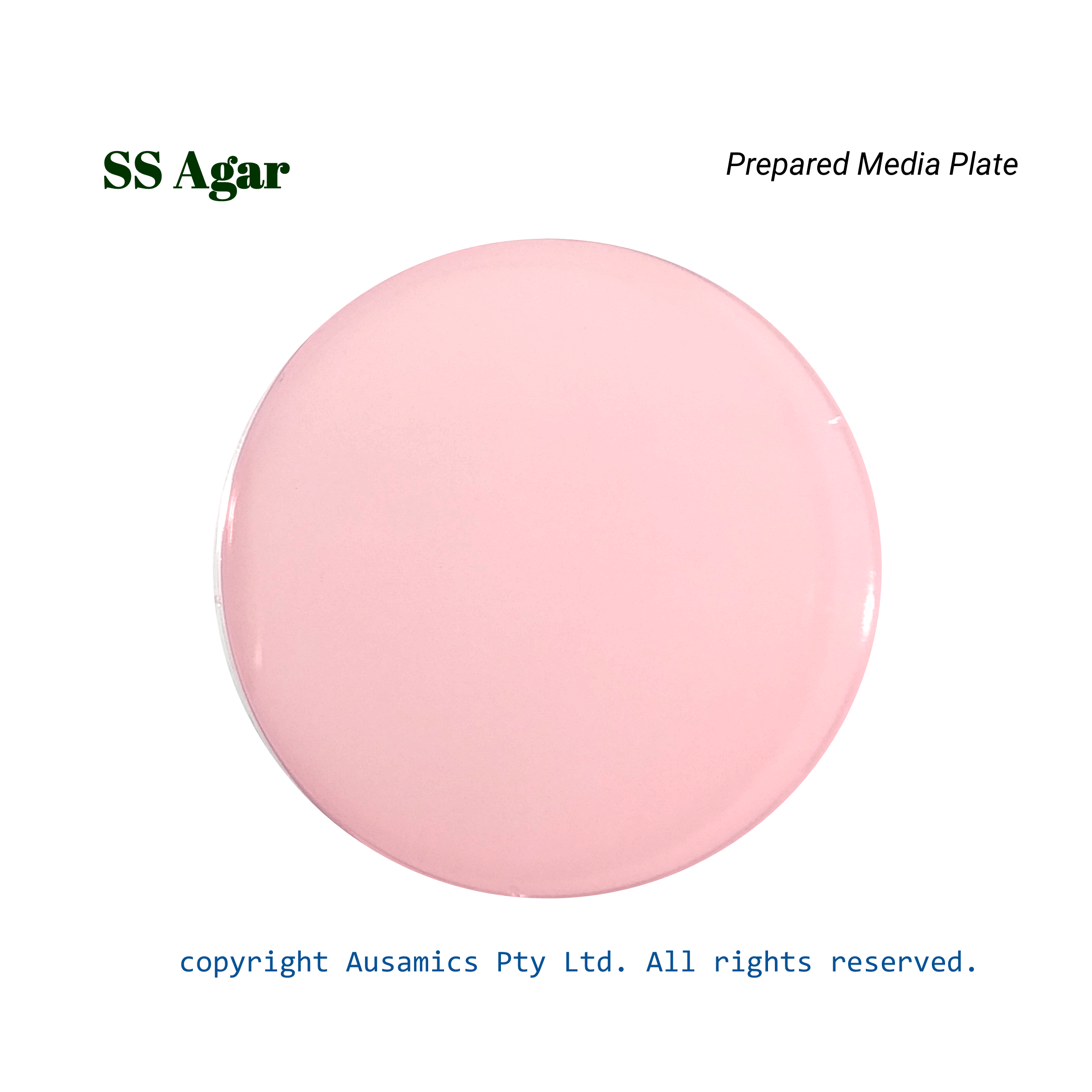 SS_Agar_Prepared_Media_Plate_Ausamics