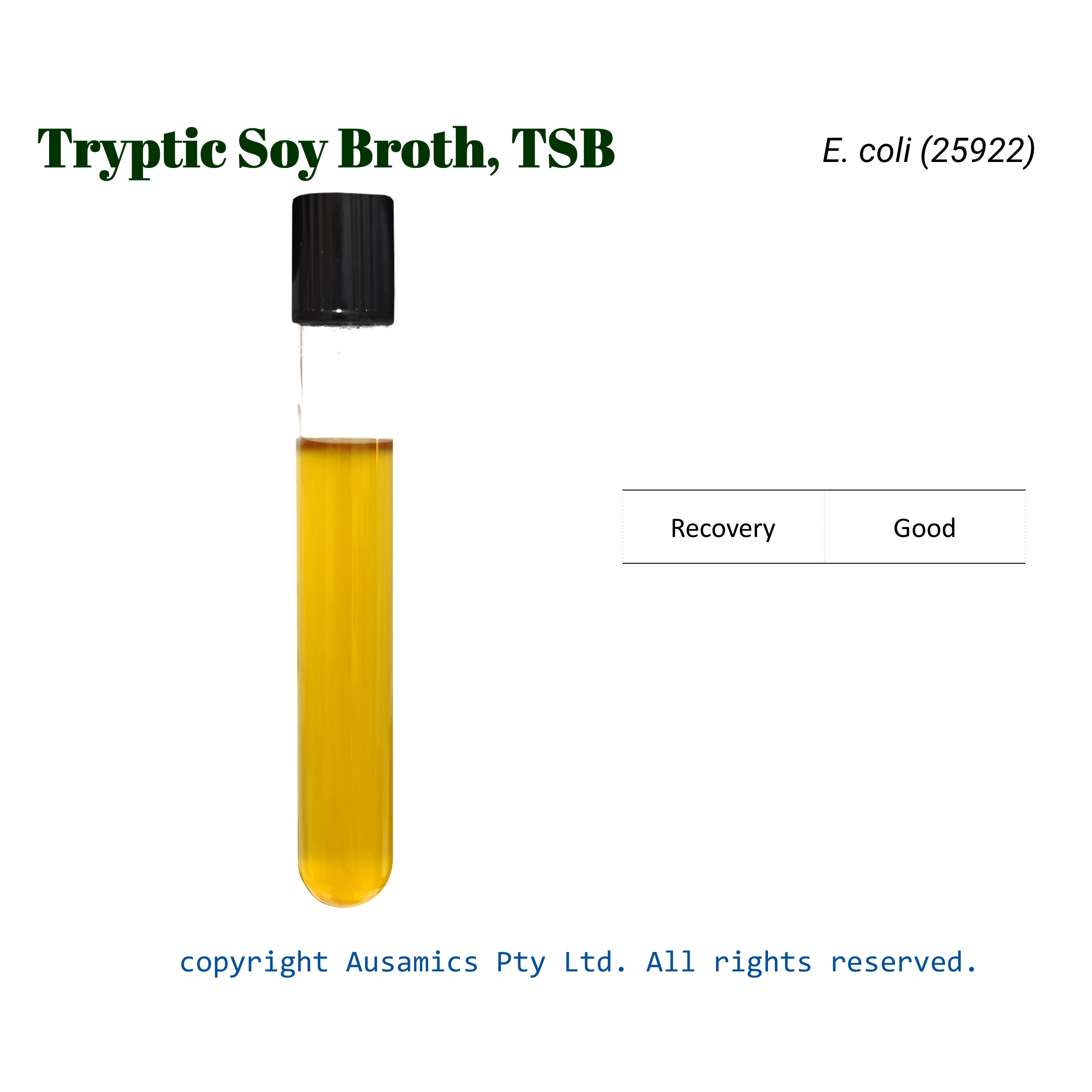 TSB_Ecoli(25922)_Ausamics