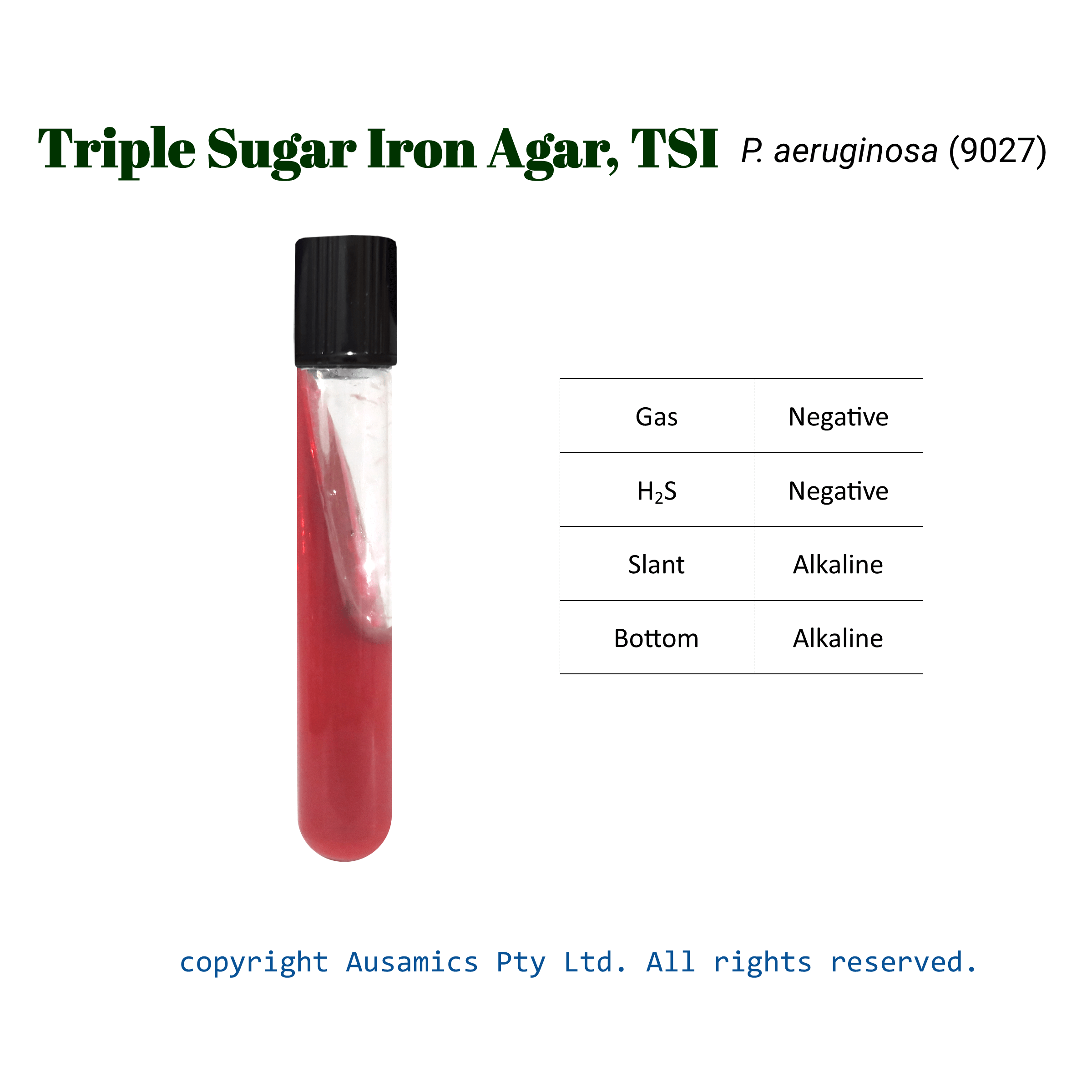 TSI_Paeruginosa(9027)_Ausamics