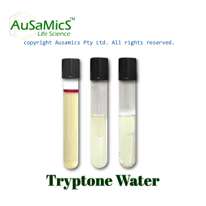 Tryptone_Water_Ausamics