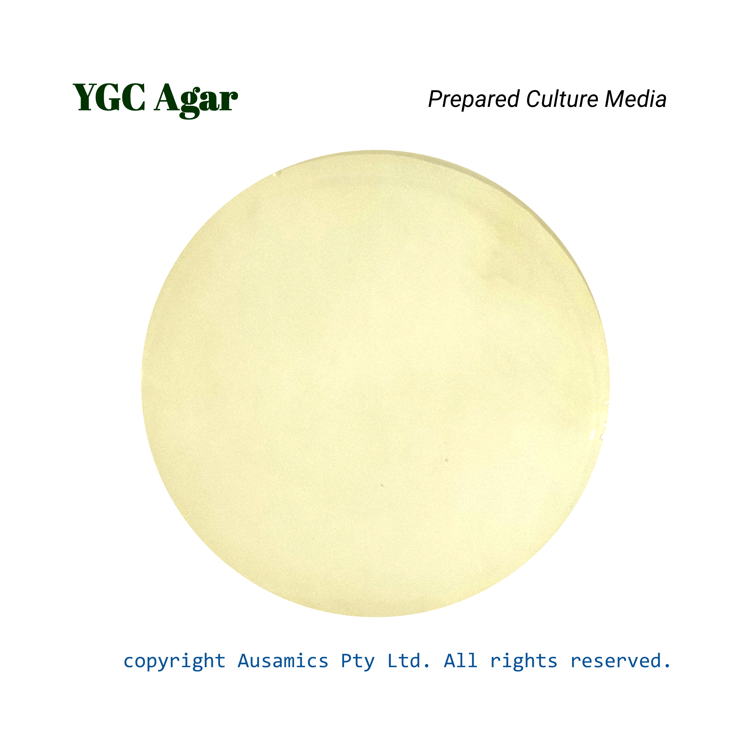YGC_Prepared_Culture_Media_Ausamics
